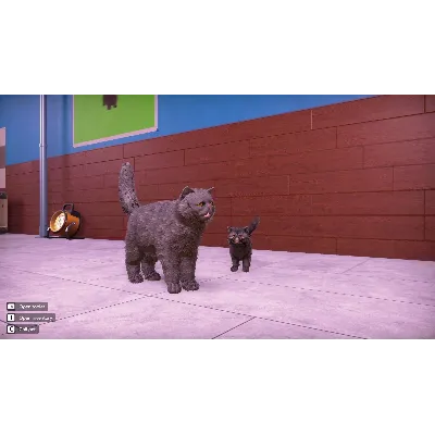 ВСЕ СТРАНЫ Animal Shelter 2 - Fluffy Cats Pack STEAM - irongamers.ru