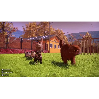 ВСЕ СТРАНЫ Animal Shelter 2 - Fluffy Cats Pack STEAM - irongamers.ru