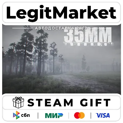 35MM / Steam АВТО / РУ + МИР - irongamers.ru