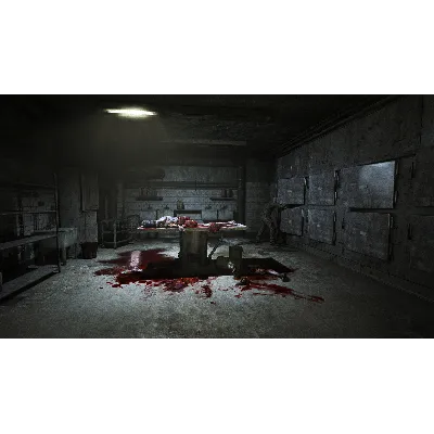 АРЕНДА Outlast + Whistleblower & Outlast 2 [Xbox One & Xbox Series] Личный Аккаунт - irongamers.ru