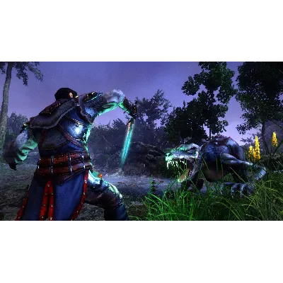 Risen 3 - Titan Lords (Steam Gift) · РФ и весь мир · Автодоставка 24/7 - irongamers.ru