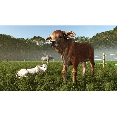 Farming Simulator 25: Beans & Alpacas Edition XBOX SERIES S|X БЕЗ ВХОДА В АККАУНТ - irongamers.ru