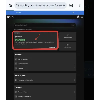 SPOTIFY 12 МЕСЯЦЕВ PREMIUM | PLATINUM (AI DJ) | РОССИЯ + ВЕСЬ МИР - irongamers.ru