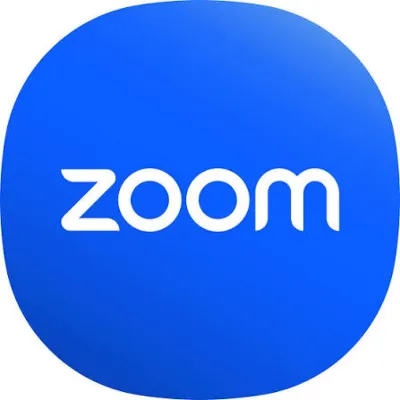 Zoom Workplace subscription (Pro/Business) 1-12 months - irongamers.ru