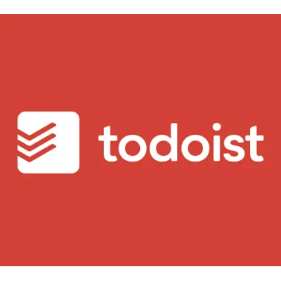 TODOIST PRO | ПОДПИСКА НА 3 МЕСЯЦА - irongamers.ru