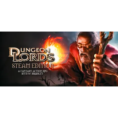 Dungeon Lords Steam Edition Авто МИР - irongamers.ru