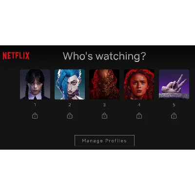 Netflix PRIVATE PROFILE 1-МЕСЯЦ-4K Premium - irongamers.ru