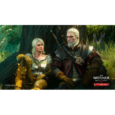 The Witcher 3: Wild Hunt-Complete Edition | Steam РУ - irongamers.ru
