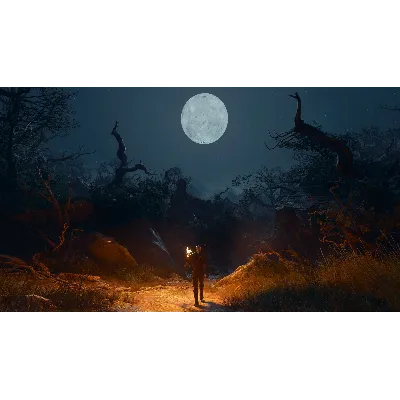 Ведьмак 3: Дикая Охота - Полное издание (PS5 PS4) ПОКУПКА ИГРЫ НА ВАШ АКАУНТ - irongamers.ru