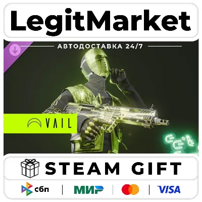 DLC VAIL VR Ionwave Character and Weapon Skin Bundle / Steam АВТО / РУ + МИР - irongamers.ru