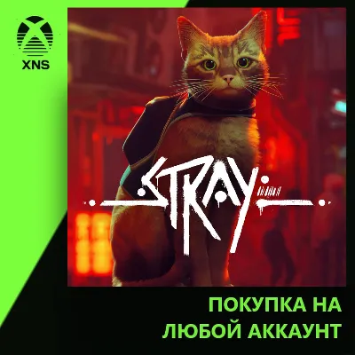 Stray Xbox+PC | Любой аккаунт - irongamers.ru