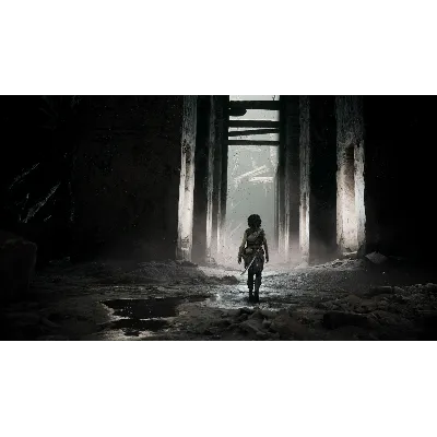 Resonance: A Plague Tale Legacy Xbox активация - irongamers.ru