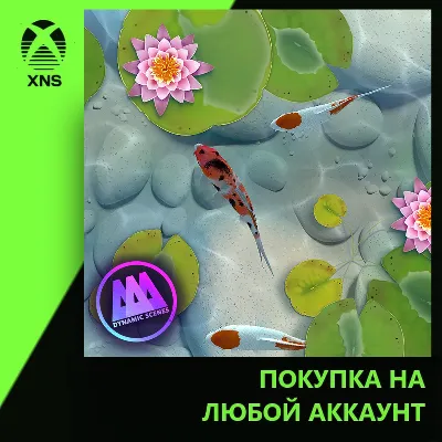 AAA Dynamic Scenes - Koi Fish Pond Dynamic Scene Xbox | Любой аккаунт - irongamers.ru