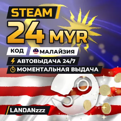Steam 24 MYR | Code | Malaysia | Auto-delivery 24/7 - irongamers.ru