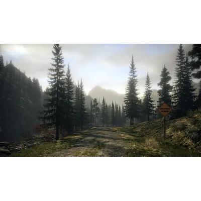 Alan Wake Franchise STEAM КЛЮЧ РФ+МИР / РУССКИЙ ЯЗЫК - irongamers.ru
