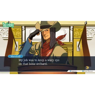 Phoenix Wright: Ace Attorney Trilogy | Nintendo Switch 1/2 - irongamers.ru