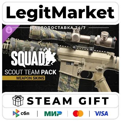 DLC Squad Weapon Skins - Scout Team Pack / Steam АВТО / РУ + МИР - irongamers.ru