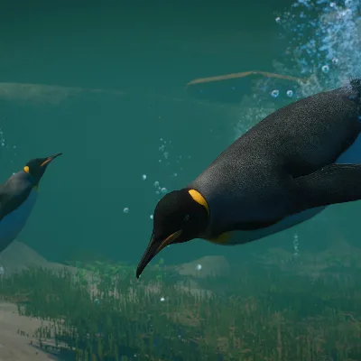 Planet Zoo: Aquatic Pack [DLC] STEAM KEY [CIS] - irongamers.ru