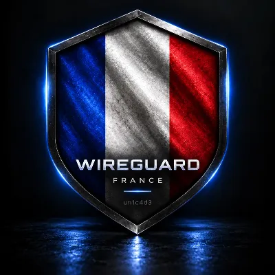 ФРАНЦИЯ WIREGUARD VPN БЕЗЛИМИТ ЛИЧНЫЙ СЕРВЕР - irongamers.ru