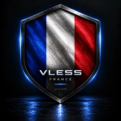 ФРАНЦИЯ VLESS VPN БЕЗЛИМИТ [V2RAY/XRAY] - irongamers.ru