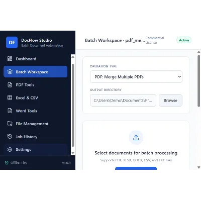 DocFlow Batch Studio — пакетная обработка документов (PDF, Excel, CSV, Word) - irongamers.ru