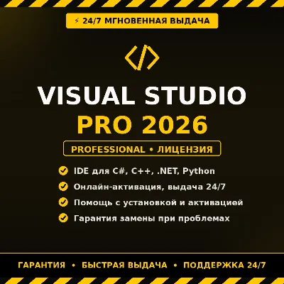 Visual Studio Professional 2026 Выдача 24/7 сразу после оплаты. - irongamers.ru