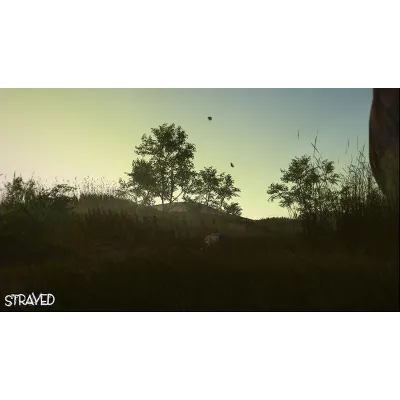 Brine \ Strayed STEAM KEY REGION FREE GLOBAL+РОССИЯ - irongamers.ru