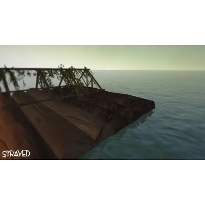 Brine \ Strayed STEAM KEY REGION FREE GLOBAL+РОССИЯ - irongamers.ru