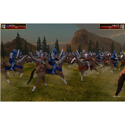 Broadsword : Age of Chivalry STEAM KEY REGION FREE ROW - irongamers.ru