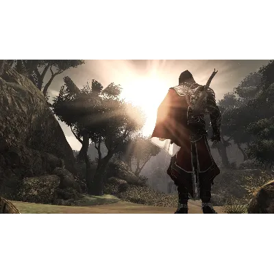 Assassins Creed Brotherhood (Steam Gift RegFree / ROW) - irongamers.ru