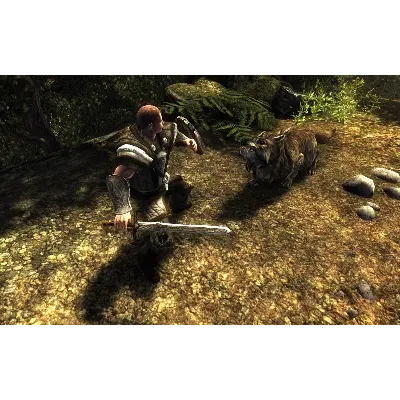 Risen 1 (STEAM КЛЮЧ) РФ+КЗ+СНГ | РУССКИЙ ЯЗЫК - irongamers.ru