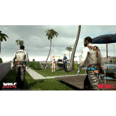PAYDAY The Heist: Wolfpack (DLC) STEAM КЛЮЧ РФ+КЗ+СНГ - irongamers.ru