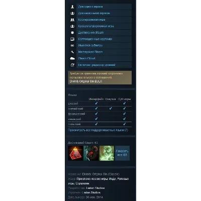 Divinity: Original Sin Enhanced Edition RU\CIS - irongamers.ru