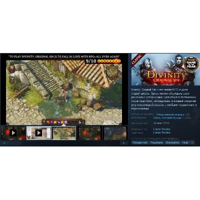 Divinity: Original Sin Enhanced Edition RU\CIS - irongamers.ru