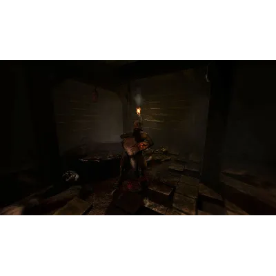 Amnesia Collection Steam Key Ключ Region Free - irongamers.ru