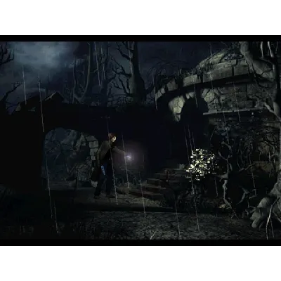 Alone in the Dark: The New Nightmare STEAM КЛЮЧ РФ+СНГ - irongamers.ru