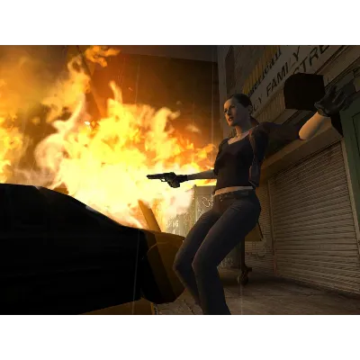 Max Payne 2: The Fall of Max Payne (STEAM КЛЮЧ) РФ+МИР - irongamers.ru