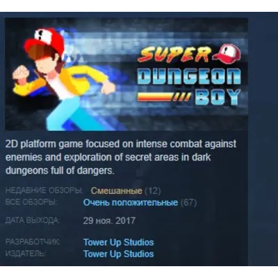 Super Dungeon Boy STEAM KEY REGION FREE GLOBAL - irongamers.ru