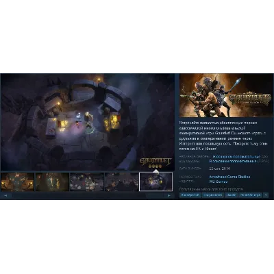Gauntlet™ Slayer Edition (Steam Gift RU/CIS) - irongamers.ru