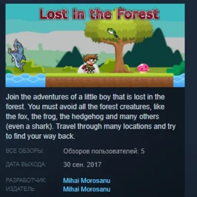Lost in the Forest STEAM KEY REGION FREE GLOBAL - irongamers.ru