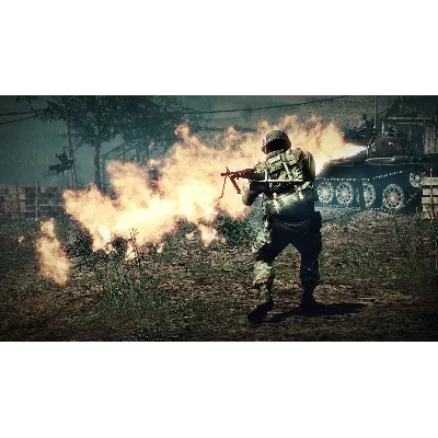 Battlefield: Bad Company 2 Vietnam (Steam Gift RegFree) - irongamers.ru