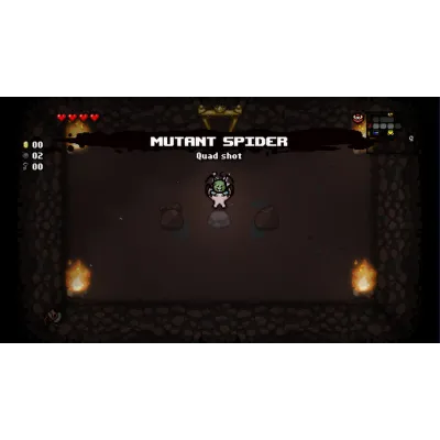 The Binding of Isaac: Rebirth * RU/KZ/СНГ/TR/AR * STEAM - irongamers.ru
