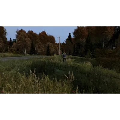 DayZ * RU/KZ/СНГ/TR/AR * STEAM АВТОДОСТАВКА - irongamers.ru