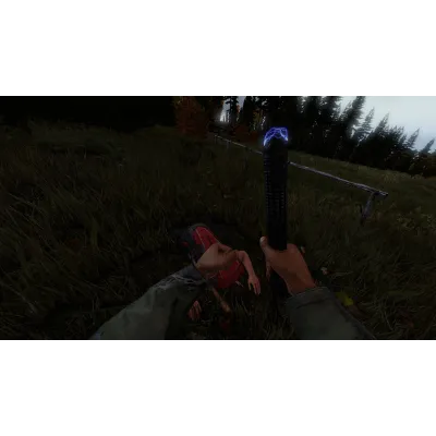DayZ * RU/KZ/СНГ/TR/AR * STEAM АВТОДОСТАВКА - irongamers.ru