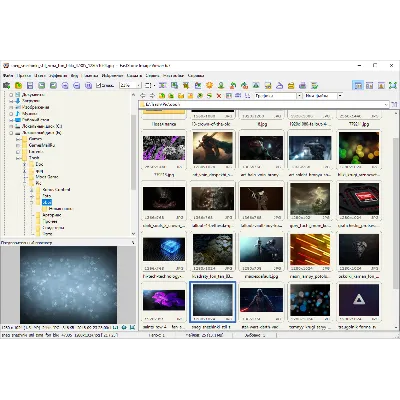FastStone Image Viewer (Лицензионный ключ) + бонус - irongamers.ru