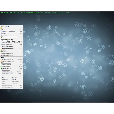 FastStone Image Viewer (Лицензионный ключ) + бонус - irongamers.ru