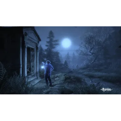 The Vanishing of Ethan Carter STEAM КЛЮЧ РОССИЯ+СНГ - irongamers.ru