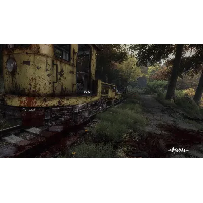The Vanishing of Ethan Carter STEAM КЛЮЧ РОССИЯ+СНГ - irongamers.ru