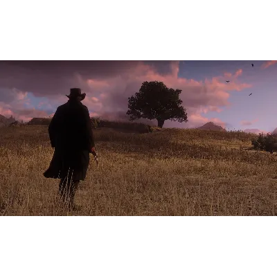 Red Dead Redemption 2 Xbox one - irongamers.ru
