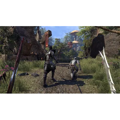 The Elder Scrolls Online: Tamriel Unlimited + Morrowind - irongamers.ru